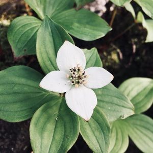 Meet your Posher, Arianna